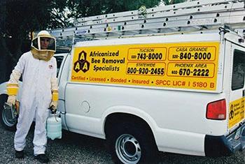 Peoria bee removal service truck and employee